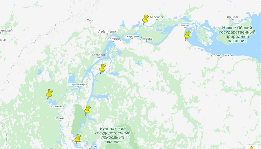 Пункты ориентировочной разведки лета 2020 г. предоставлено А. Выборновым